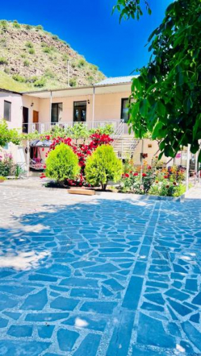 Guesthouse Mtkvari